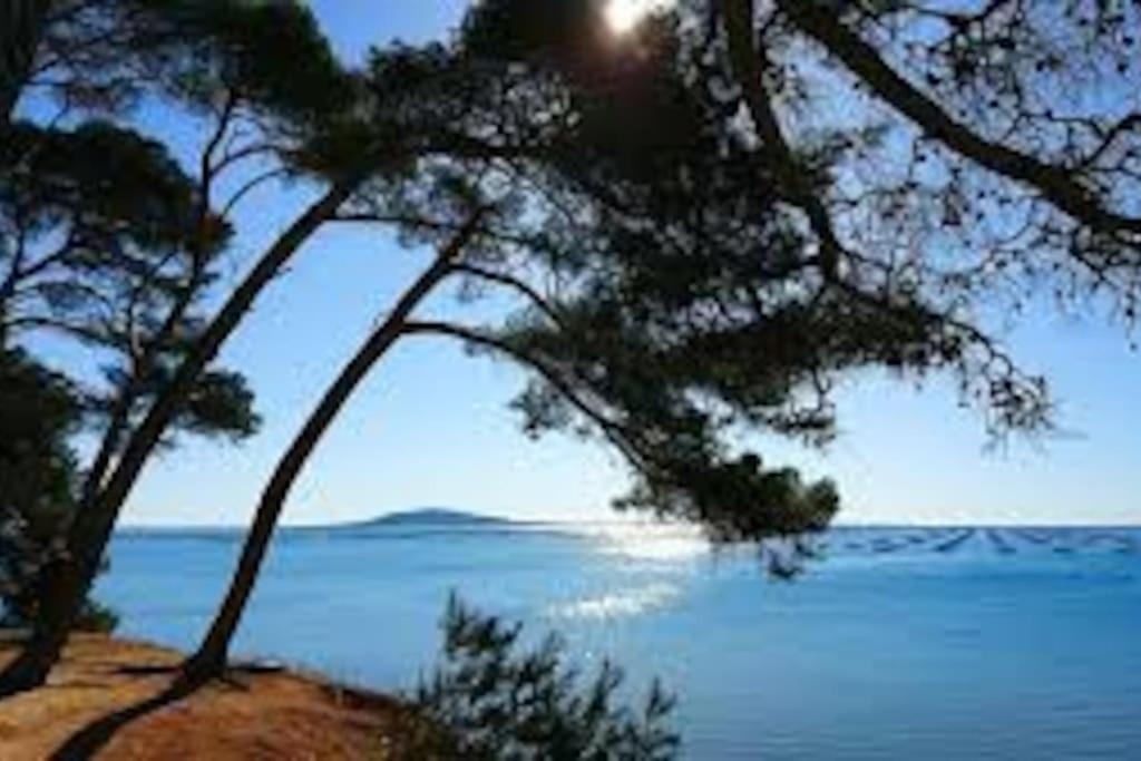 Appartement Cosy A 50 M De La Plage Et Du Port Meze Luaran gambar
